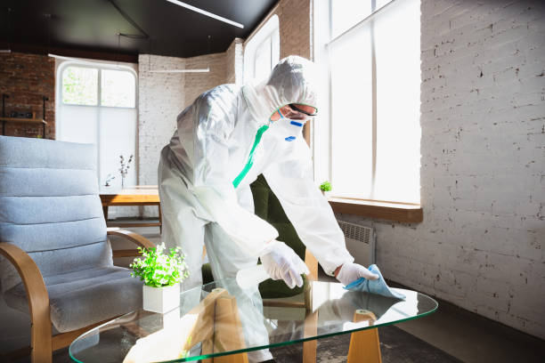 Reliable Montague, CA Mold Removal Solutions